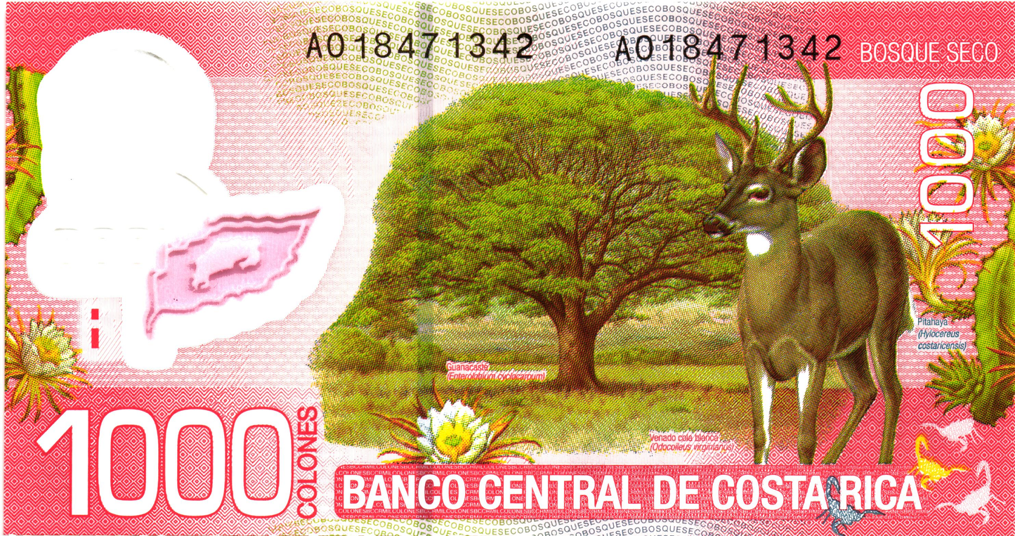 Costa Rica 1000 Colones 2009, P274, UNC