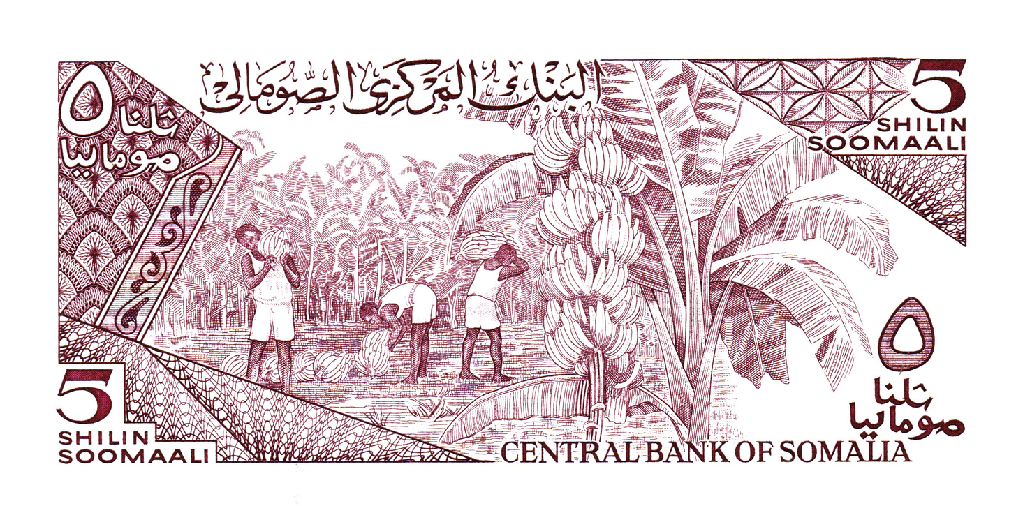 Somalia 5 Shilin 1987, P31c, UNC