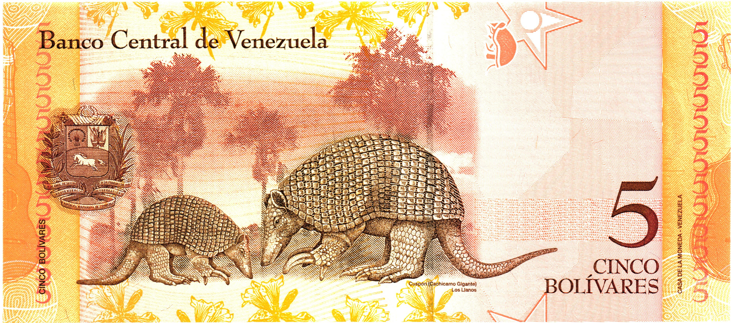 Venezuela 5 Bolivares 2007, P89b, UNC