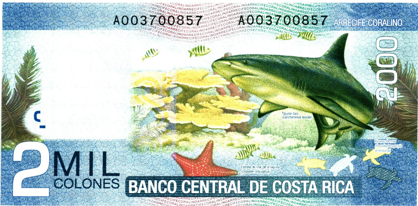 Costa Rica 2000 Colones 2009, P275a, UNC