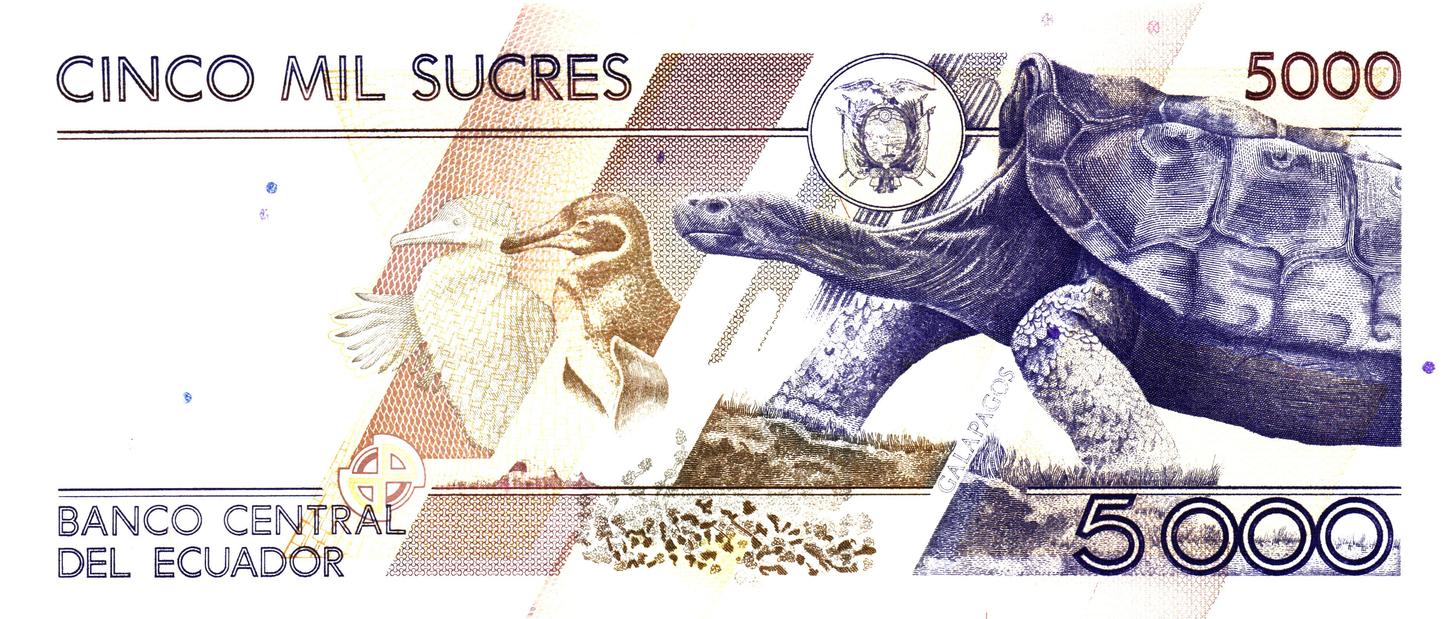 Ecuador 5000 Sucres 1999, P128c, UNC