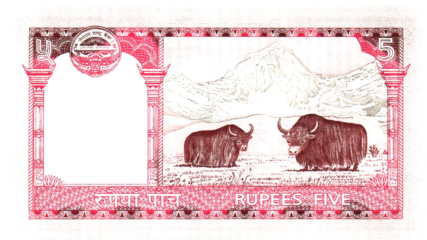 Nepal 5 Rupees 2008, P60, UNC