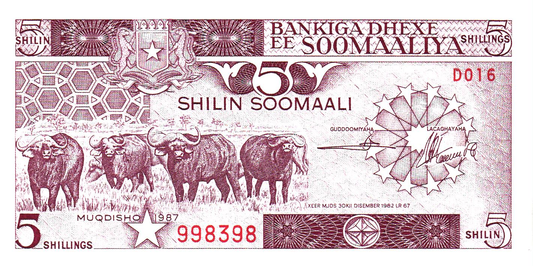Somalia 5 Shillings 1983, P31a, UNC