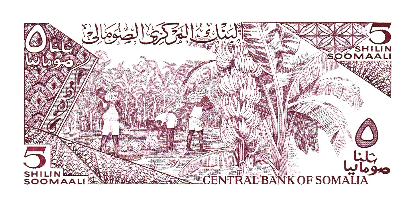 Somalia 5 Shillings 1983, P31a, UNC