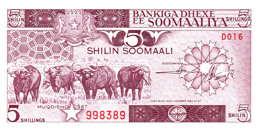 Somalia 5 Shilin 1987, P31c, UNC