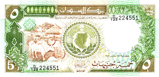 Sudan 5 Sudanese Pounds (1989), P40b, UNC