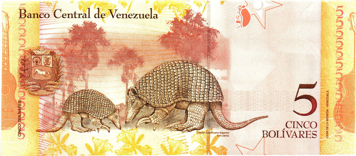 Venezuela 5 Bolivares 2007, P89a, UNC